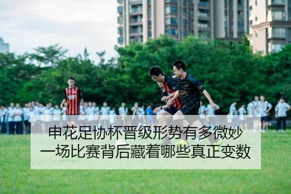 申花足协杯晋级形势有多微妙 一场比赛背后藏着哪些真正变数